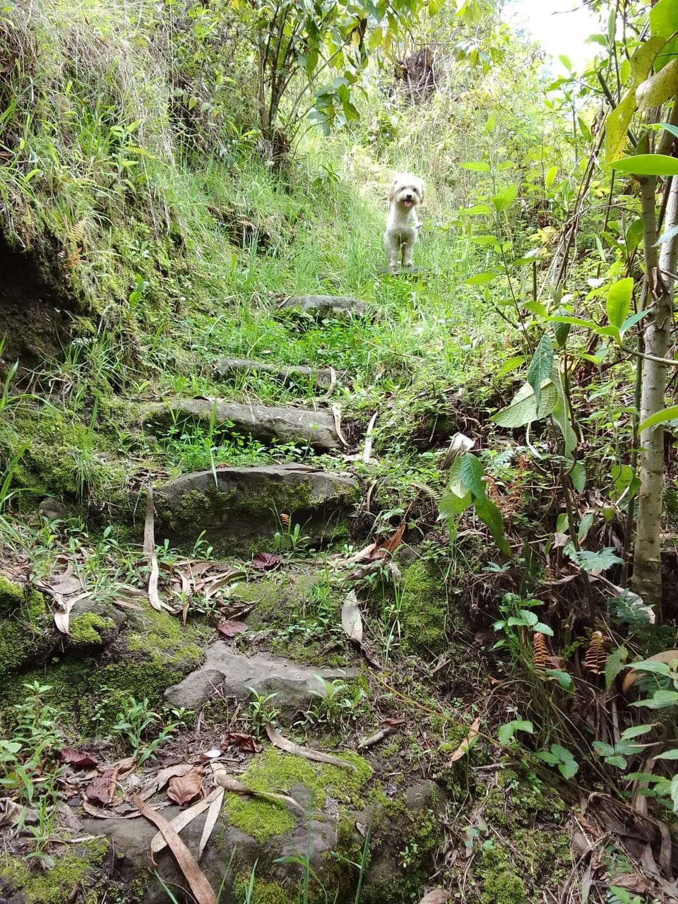 Marambu Pukyu Farm Stay in Imbabura Province