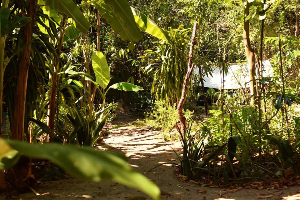 GaiaPipa ComunidArte Luxury tent in Pipa Beach