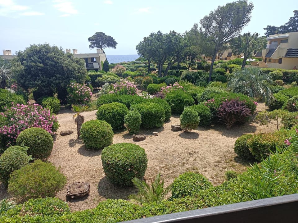 Garden, Garden view