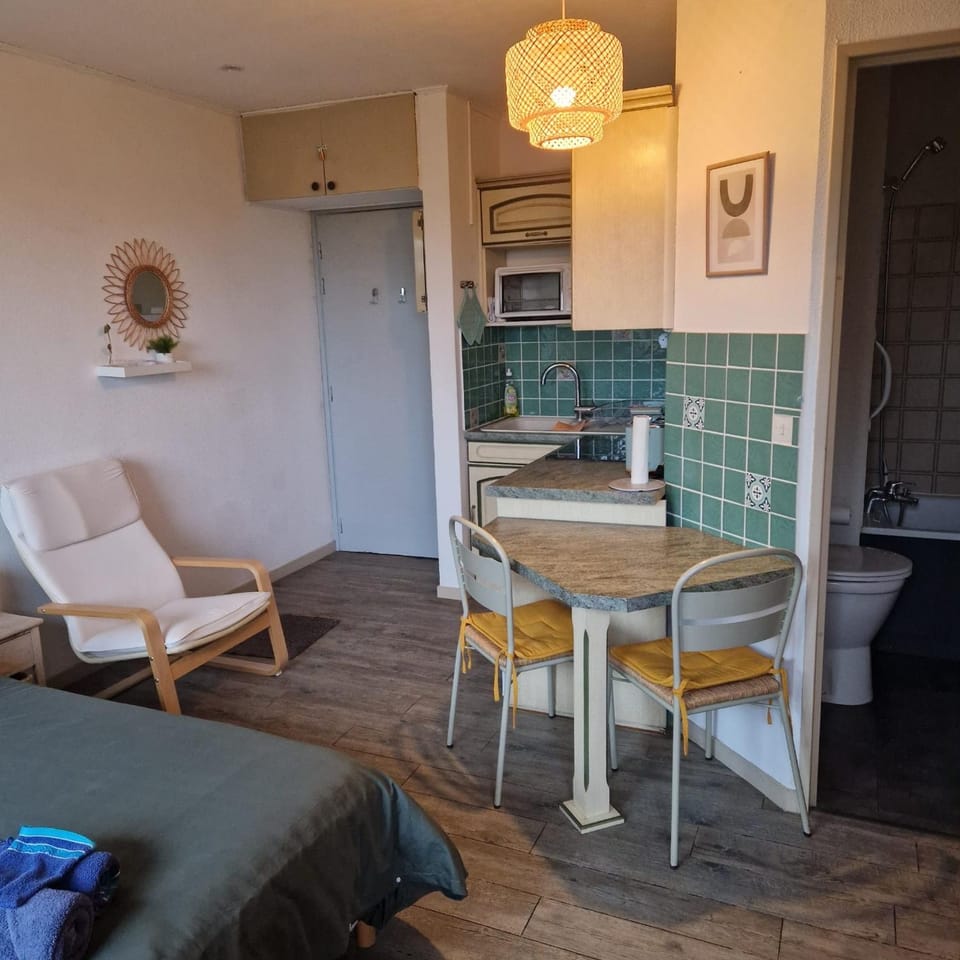 Charmant studio au calme proche des thermes Apartment in Gréoux-les-Bains