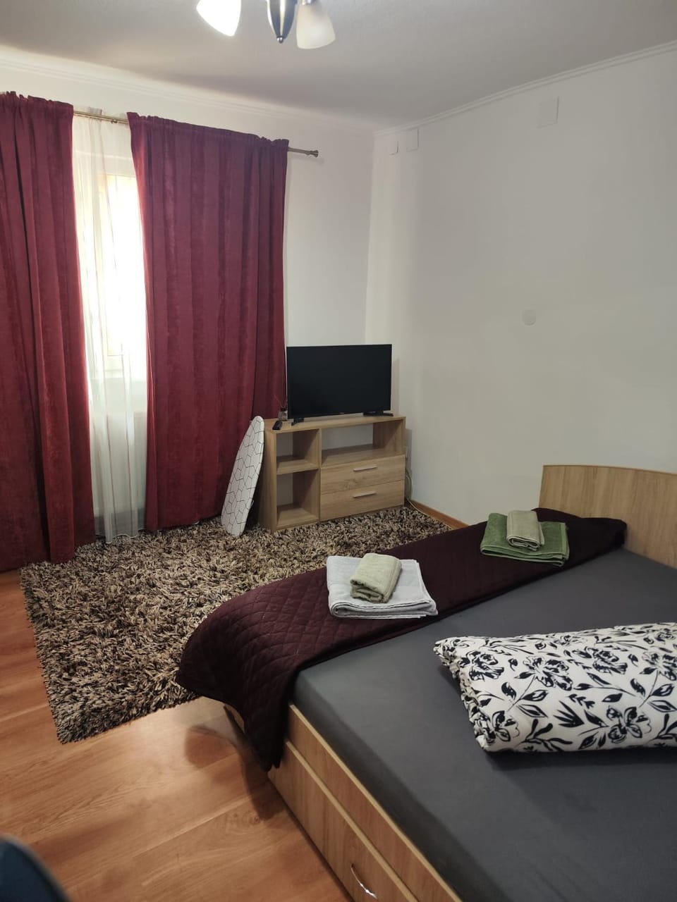 Tonya House 2 Apartment in Timisoara