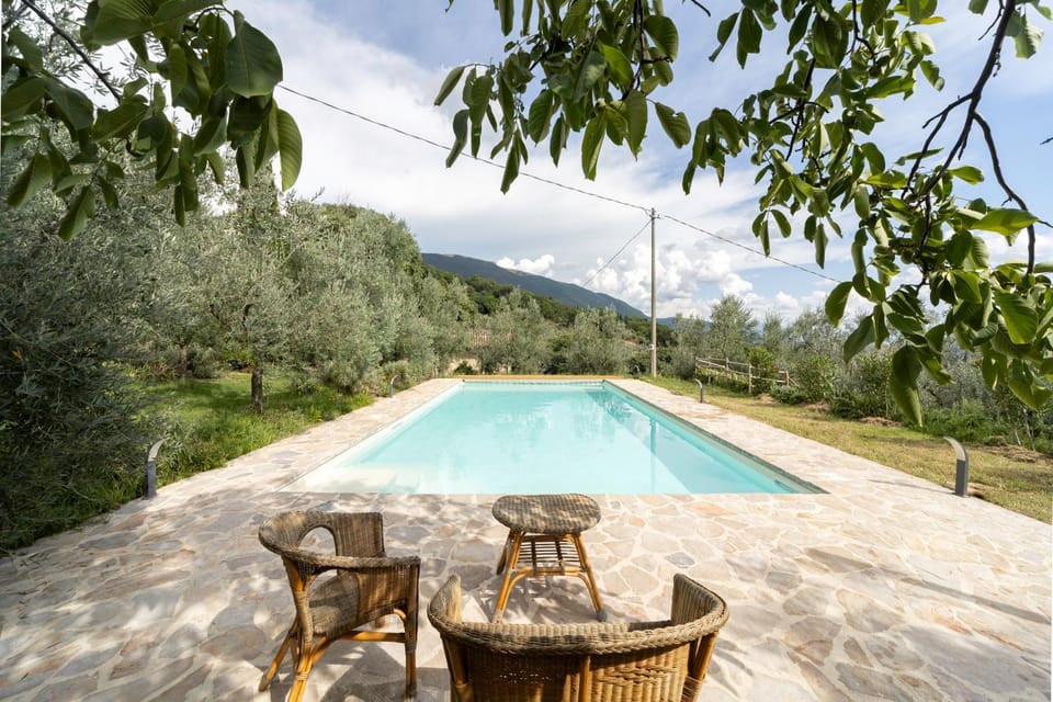 Patio, Natural landscape, Garden, Garden view, Pool view, Swimming pool