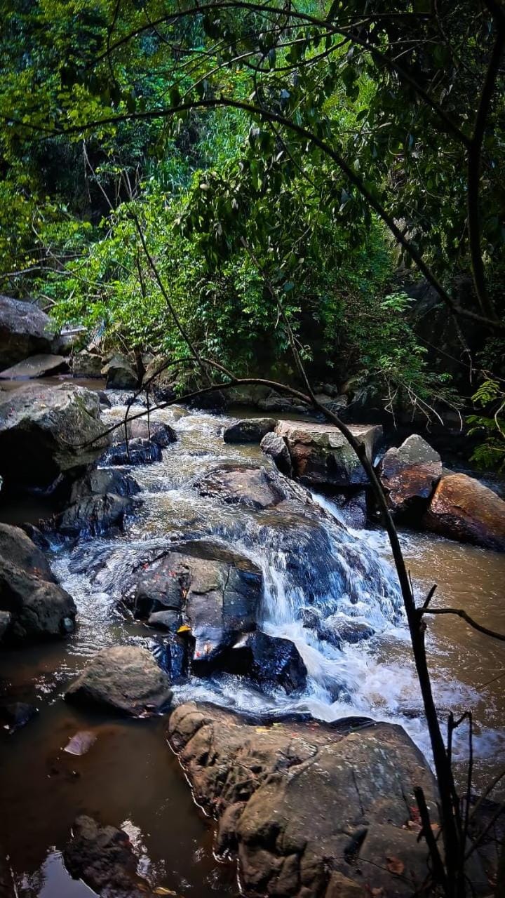 Jungle River Heaven Ella Vacation rental in Ella
