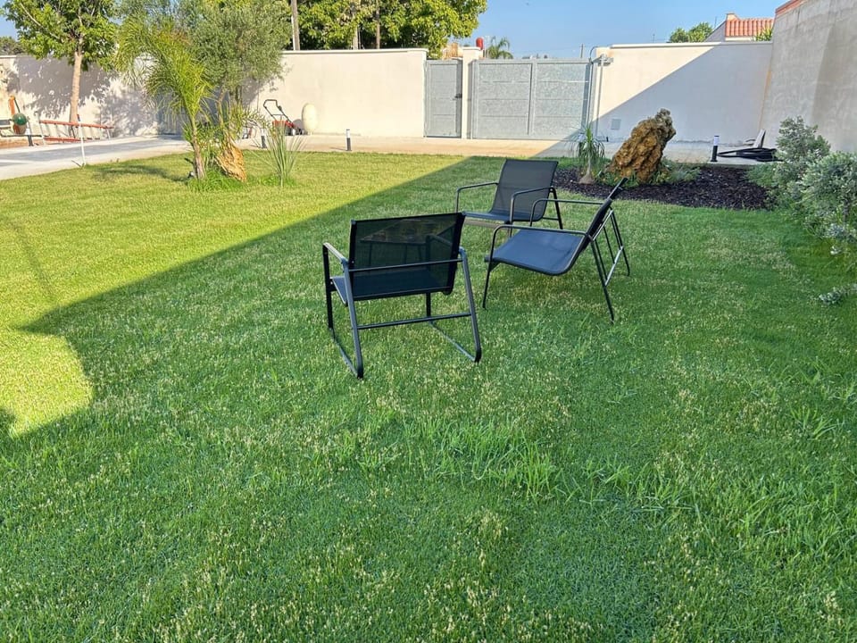 Day, Garden, Garden, Garden view, sunbed