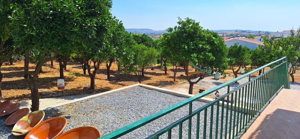 Natural landscape, Garden, View (from property/room), Balcony/Terrace, Garden view