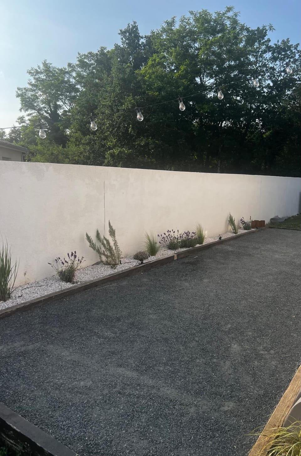Garden view
