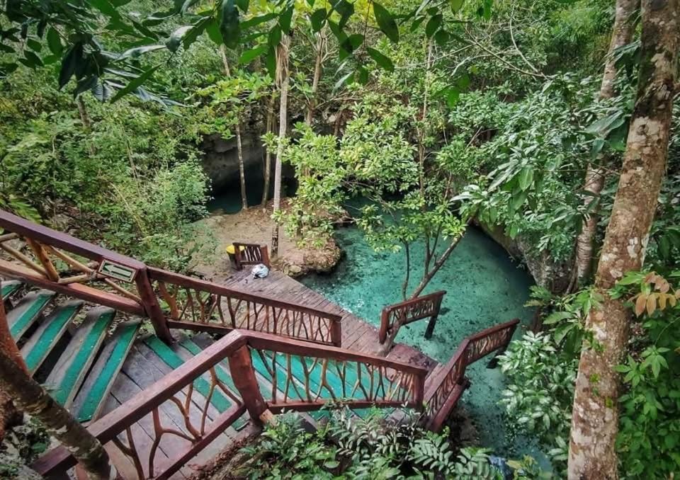 Home's Jungle House in State of Quintana Roo