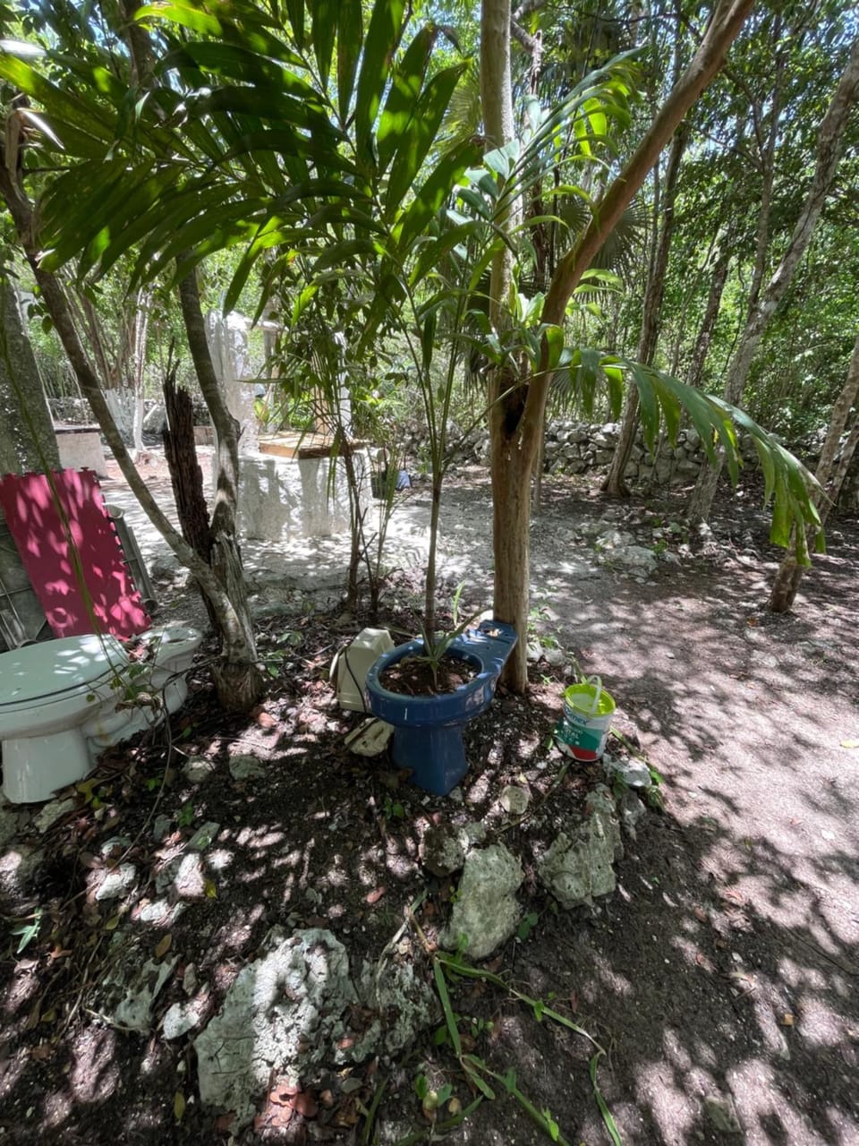 Home's Jungle House in State of Quintana Roo