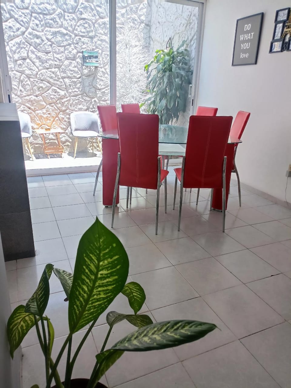Vertice House in San Luis Potosi