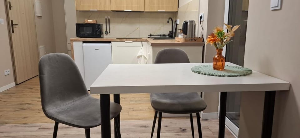 Kitchen or kitchenette, Dining area, oven, stove