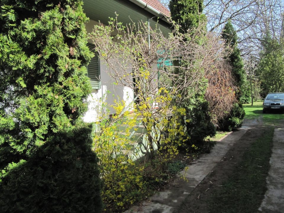Property building, Garden