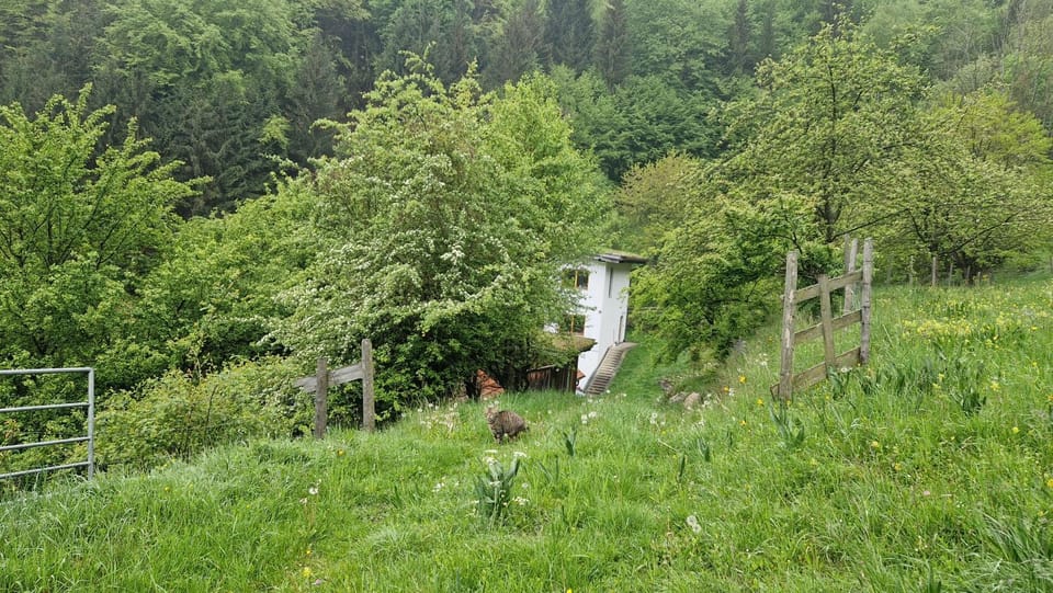 Natural landscape