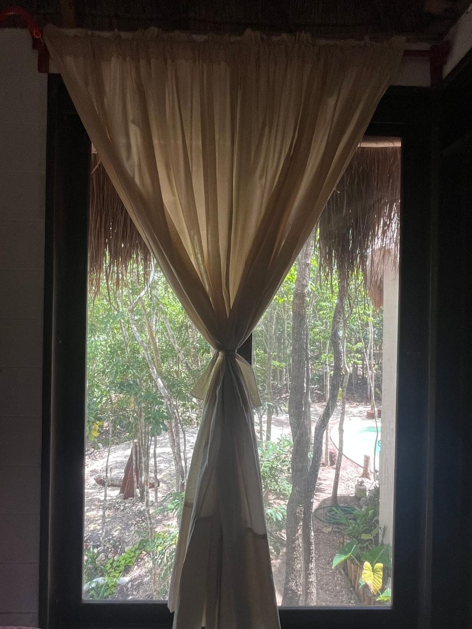 Garden view