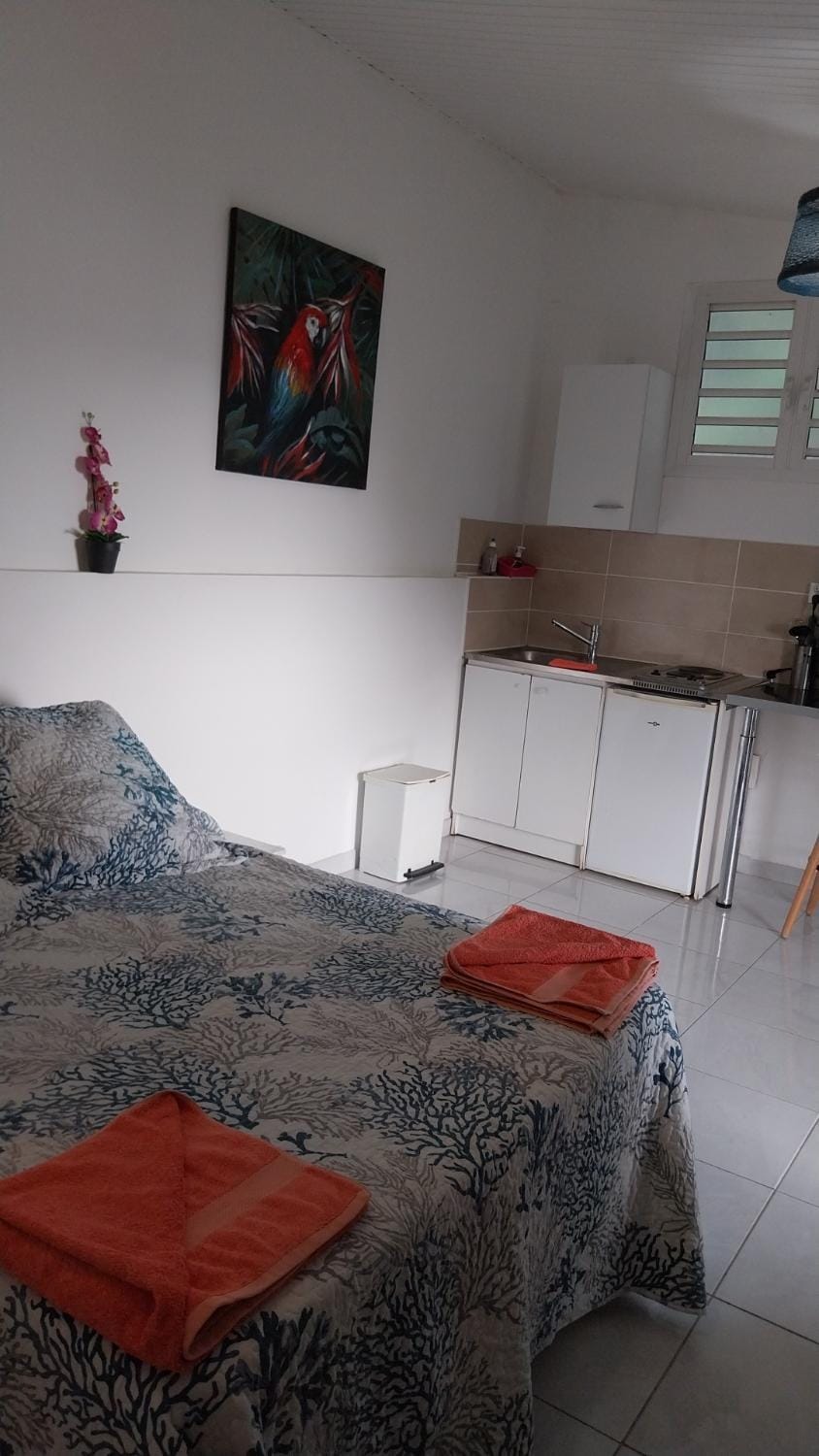 Cocofiolo studio Apartment in Martinique