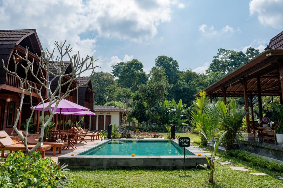Garden, Pool view, Swimming pool