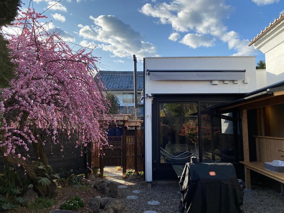 Spring, Day, Garden view