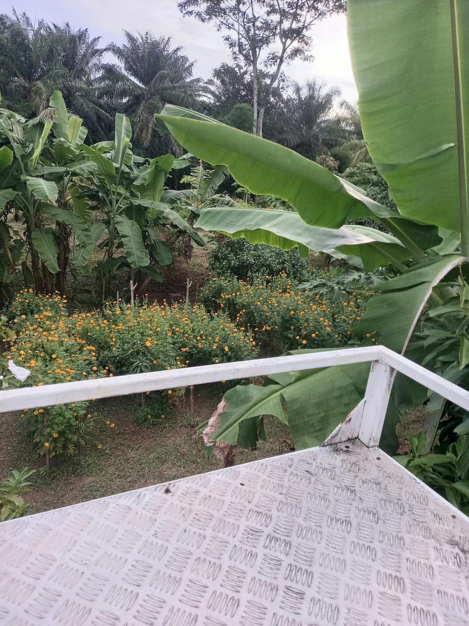 Pimrada Resort in Surat Thani Changwat
