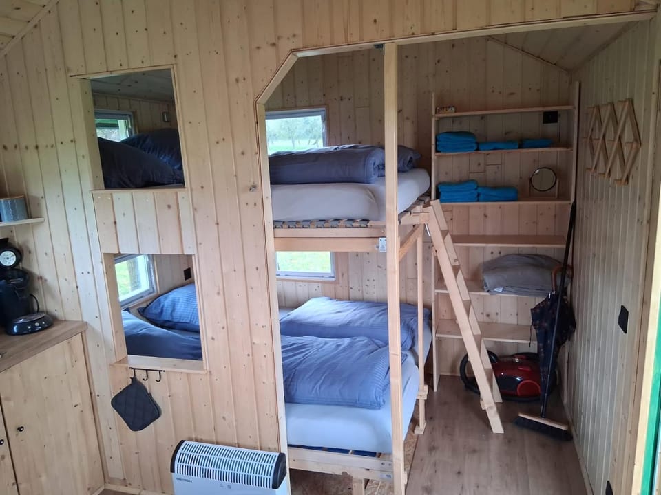 bunk bed