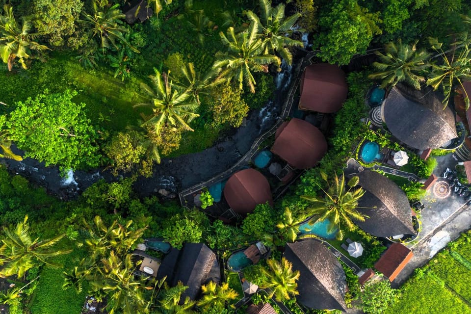 Property building, Spring, Day, Natural landscape, Bird's eye view, Garden