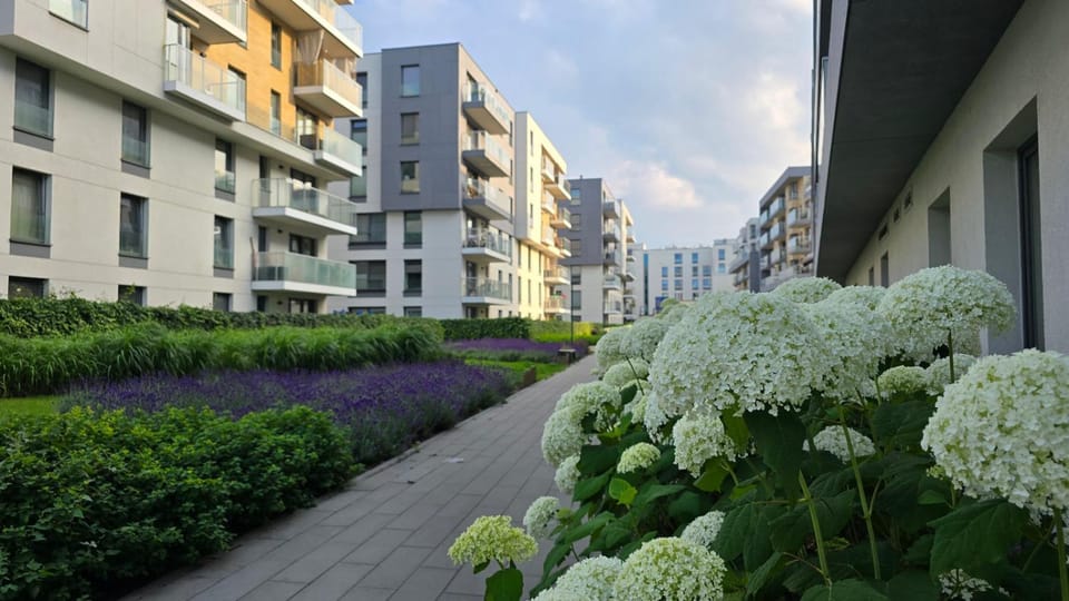 Letnica SunsetView Apartament nad morzem 700m Apartment in Gdansk