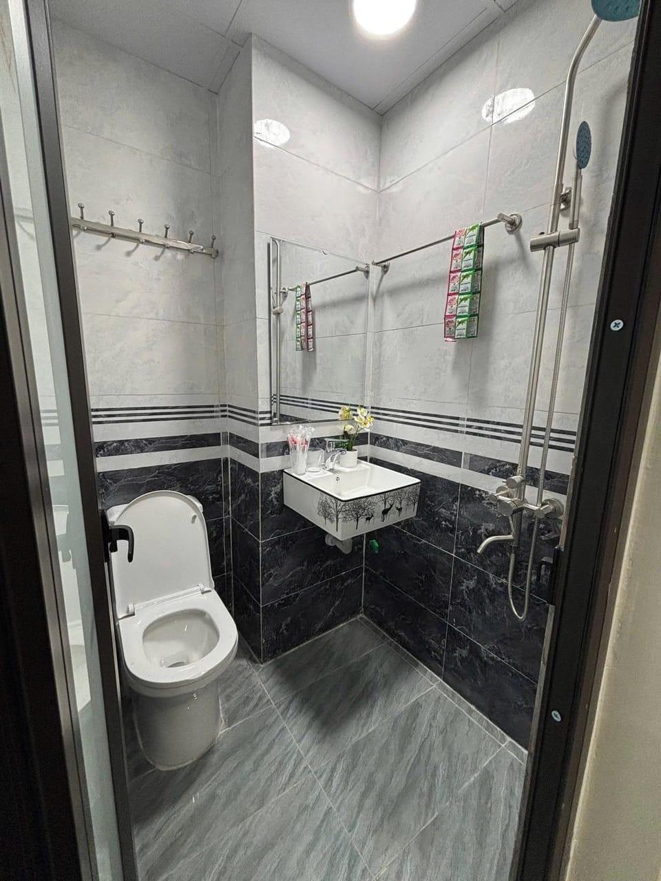 Toilet, Bathroom