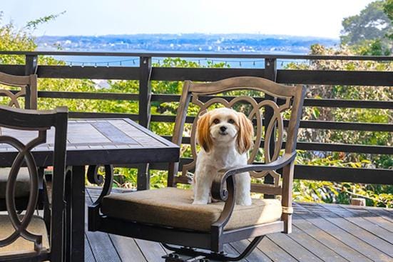 オーシャンヴィラ Breeze and Dog Villa in Yokosuka