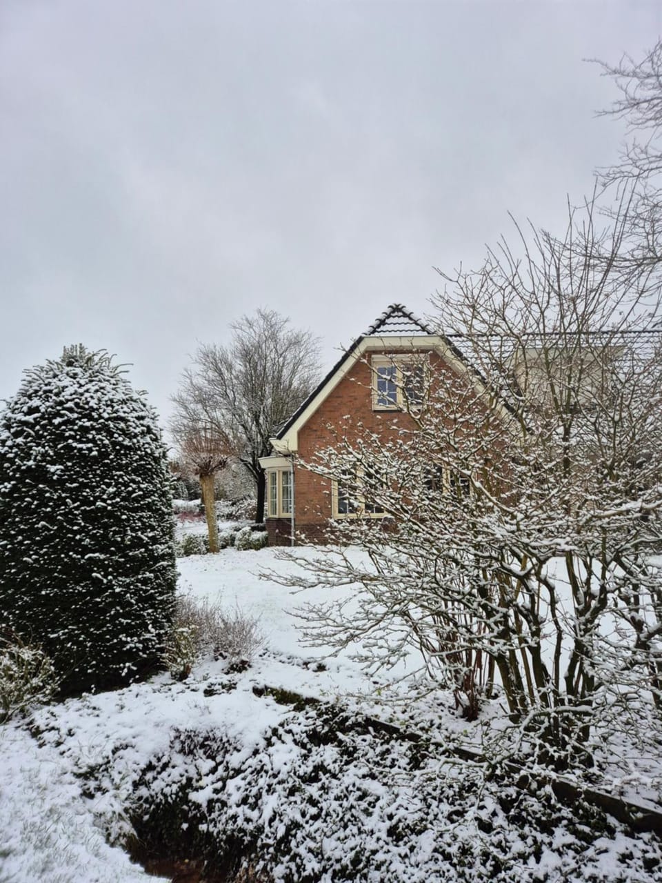 Property building, Winter