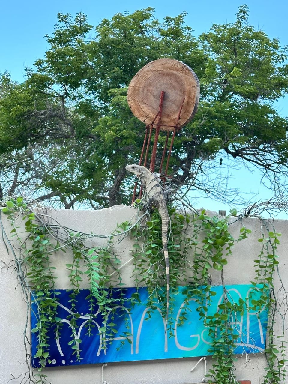 Hotel Alebrije Apartment in State of Yucatan