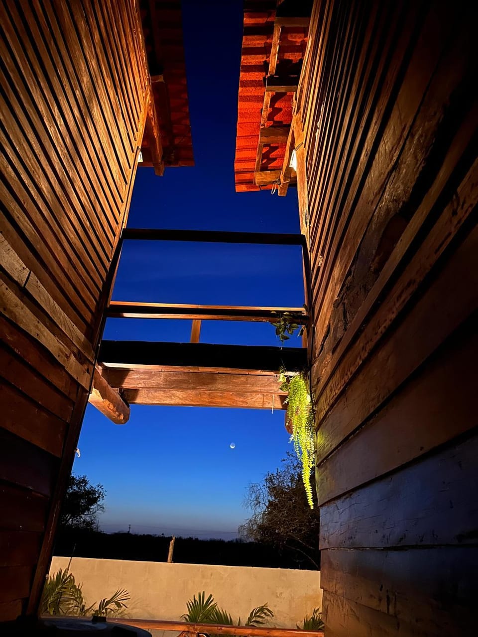 Hotel Alebrije Apartment in State of Yucatan