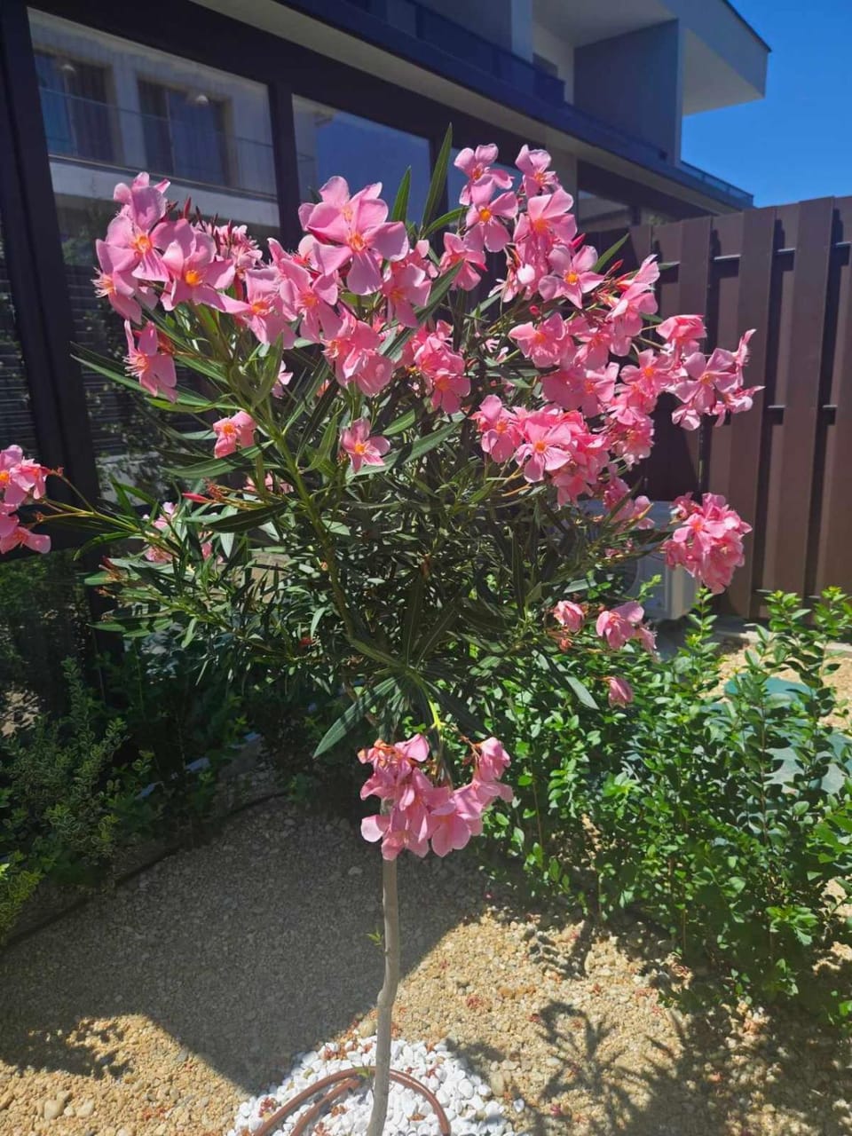Garden, Garden view