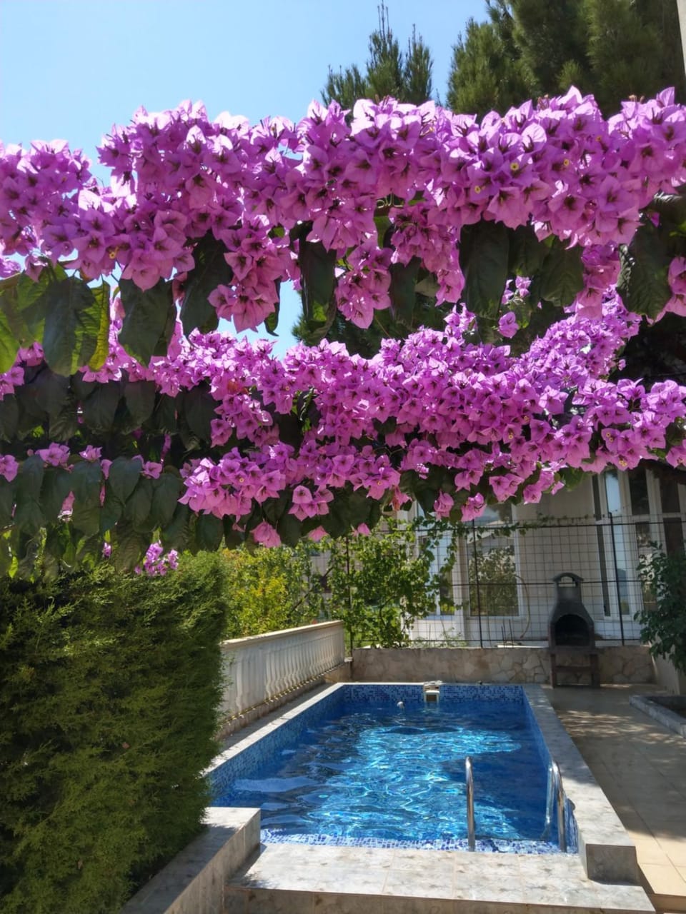 Patio, BBQ facilities, On site, Swimming pool