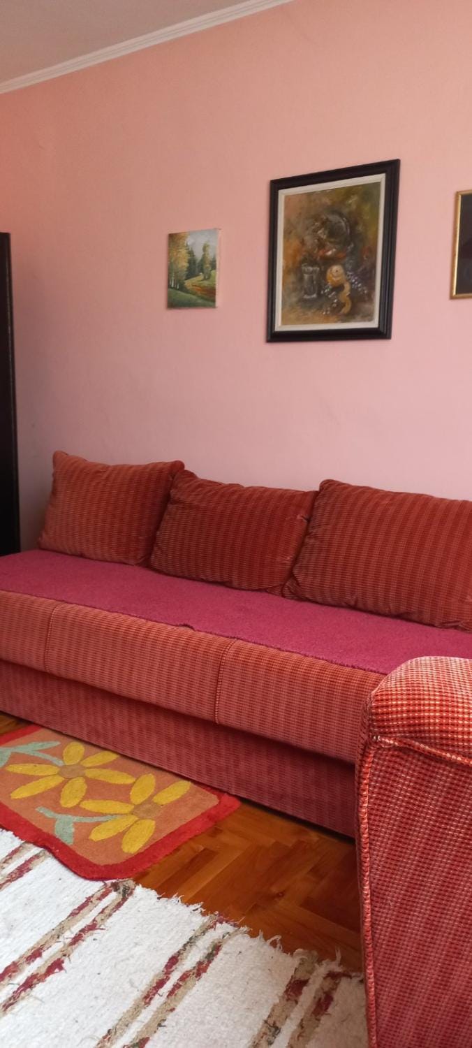 Smeštaj Nikolić Apartment in Zlatibor District, Serbia