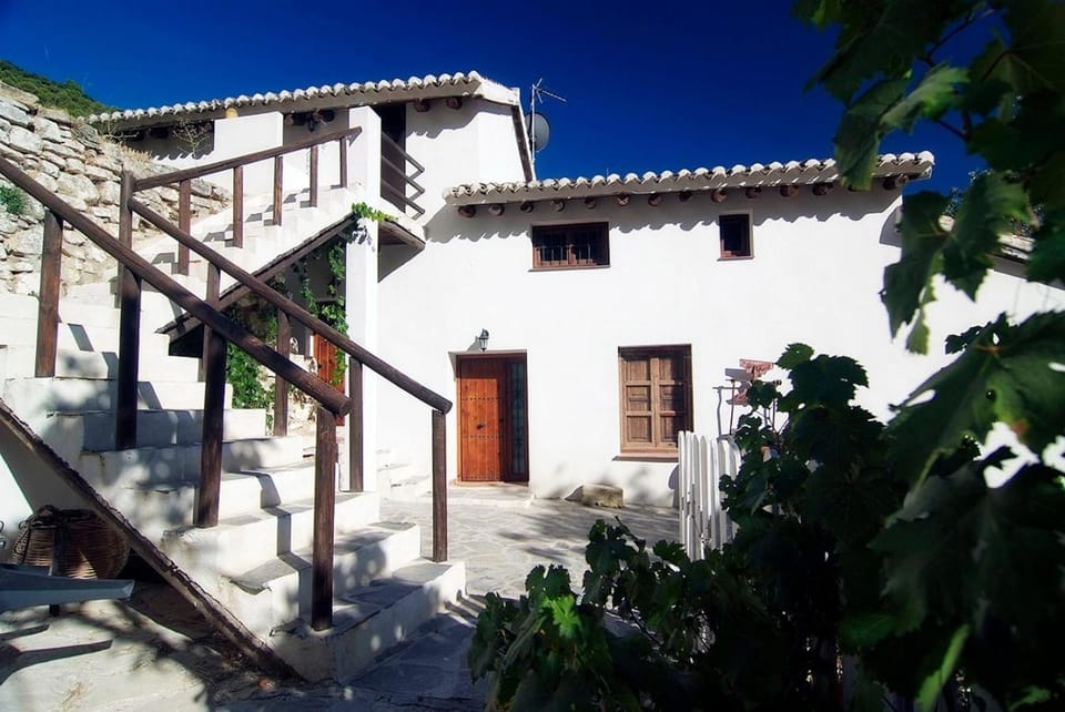 Patio, Facade/entrance, Garden view
