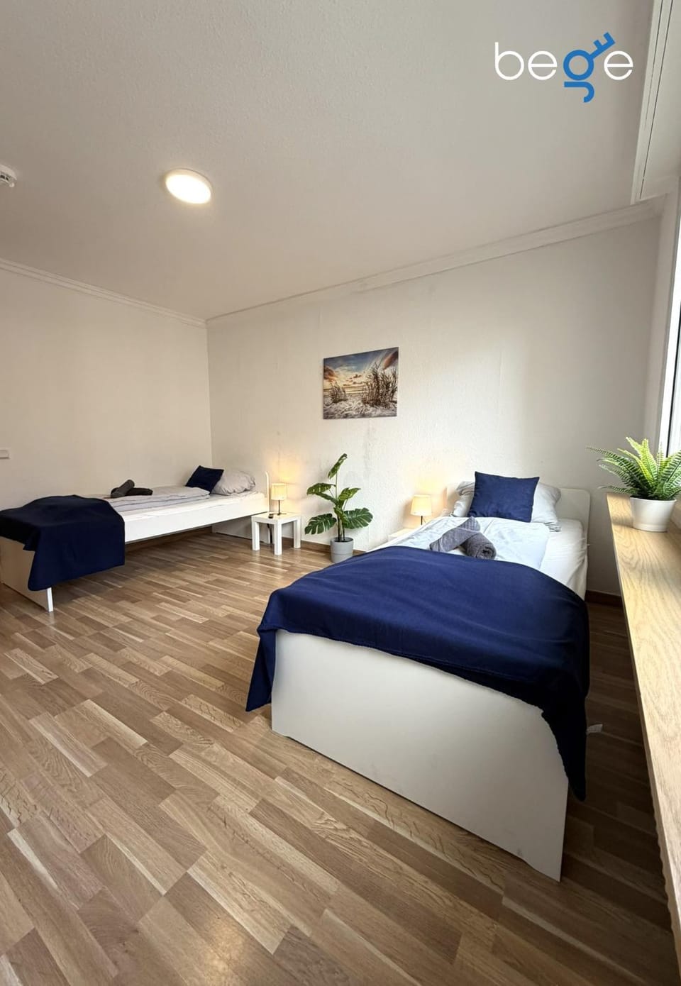 Bed, Photo of the whole room, towels