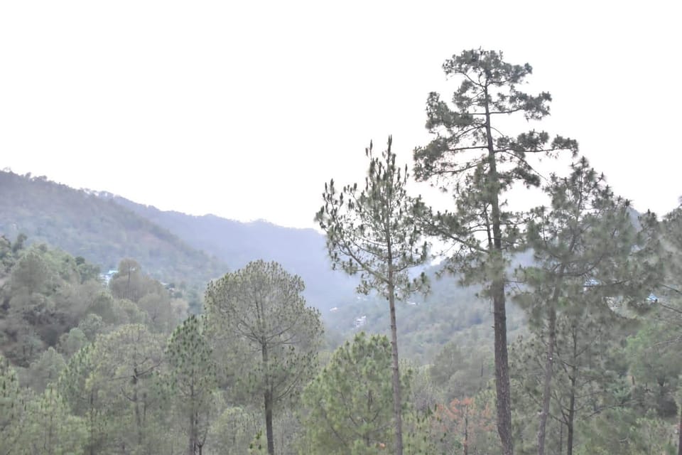 Mountain view