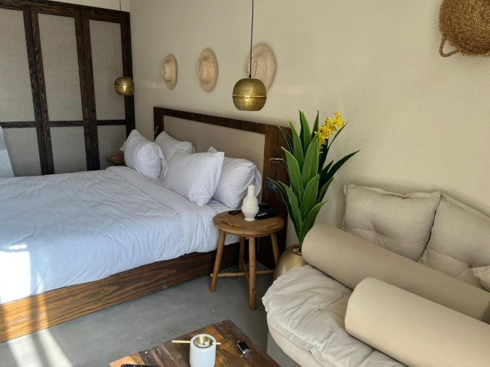 Bed, Living room, Photo of the whole room, Seating area, Bedroom