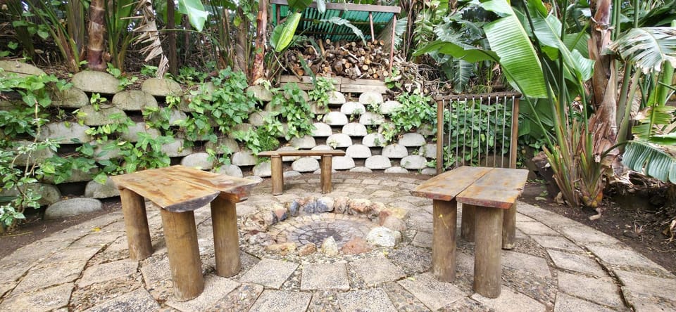 Patio, Spring, Day, Garden, Garden view