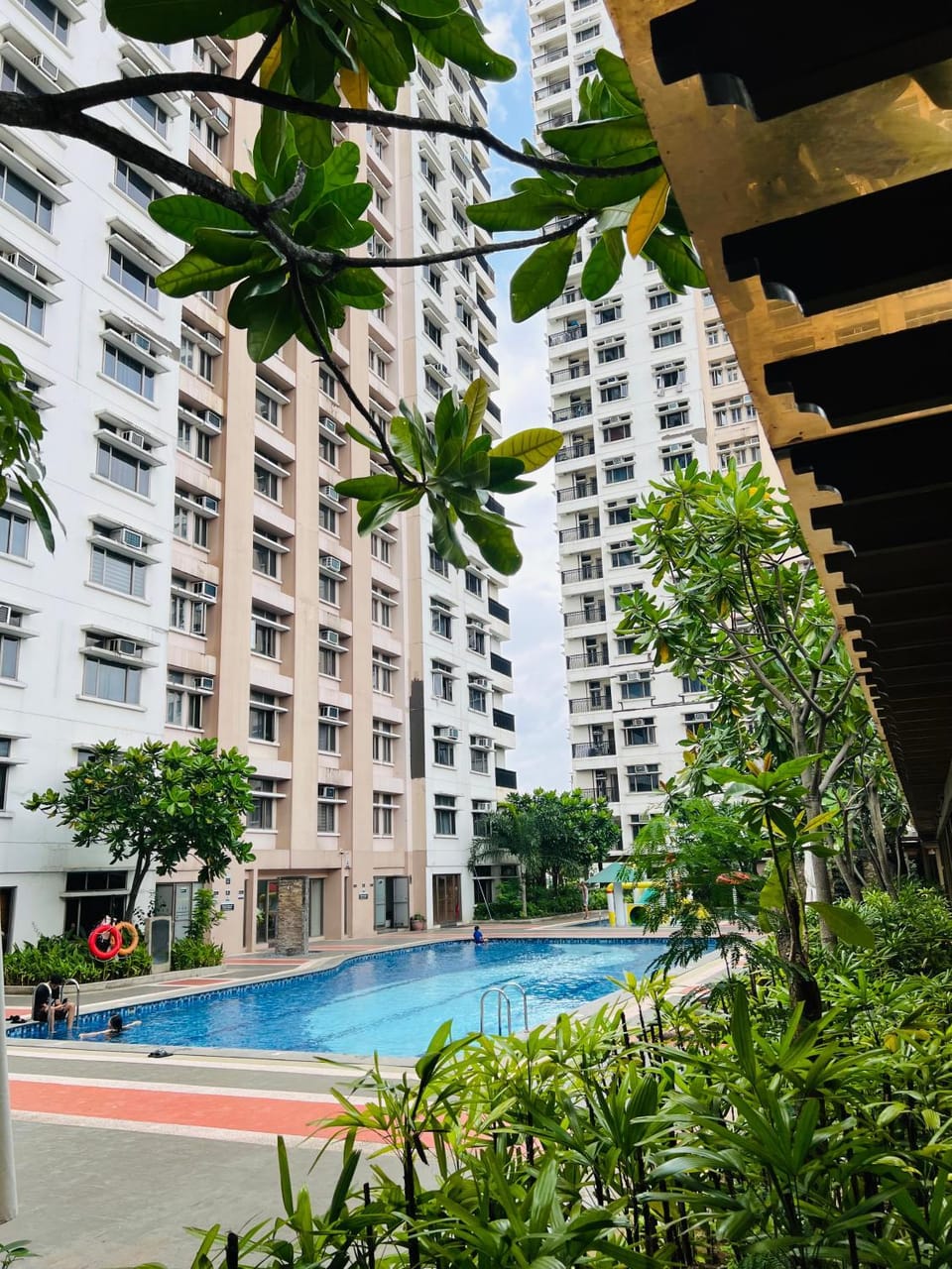 Garden, Pool view, Swimming pool