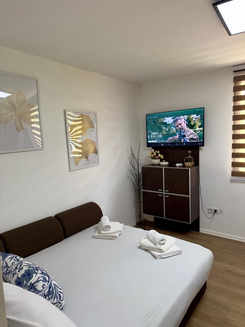 TV and multimedia