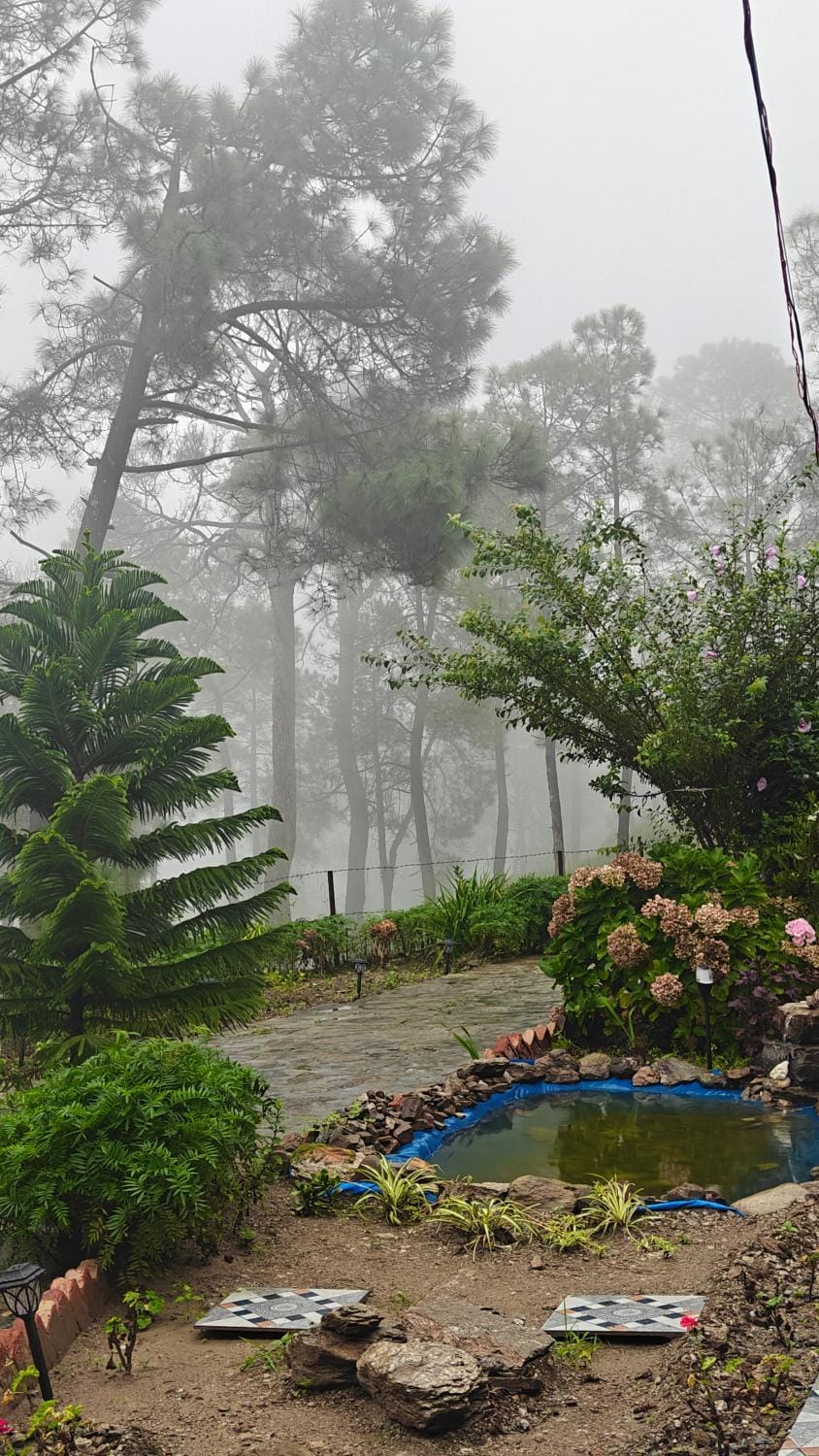 Garden view