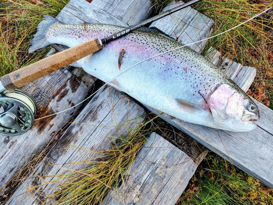Fishing