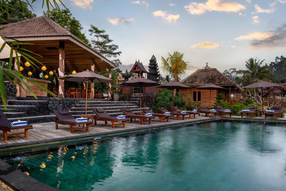 Property building, Day, Natural landscape, Garden, Garden view, Pool view, Swimming pool, sunbed