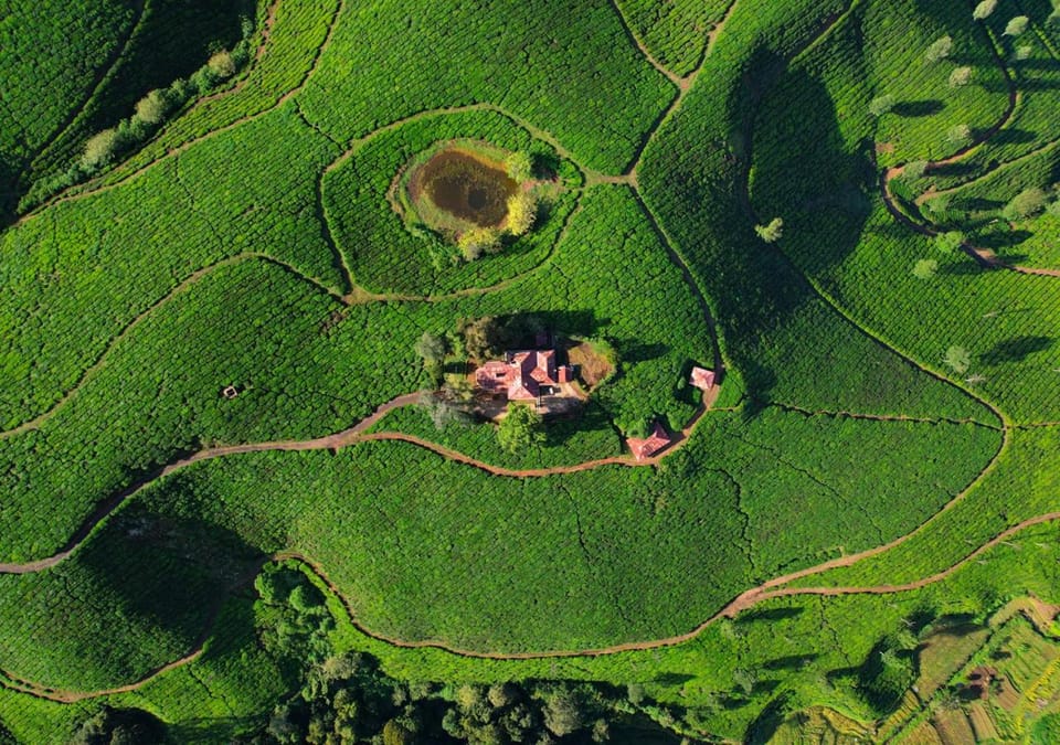 Spring, Day, Natural landscape, Bird's eye view