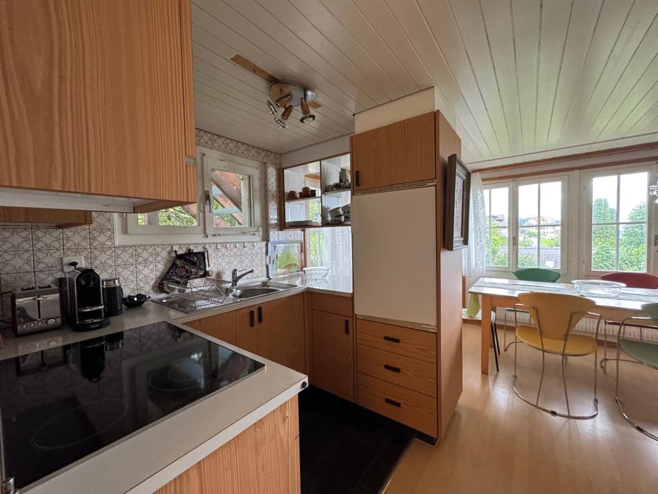 Mariannes Terrace Apartment in Canton of Bern (Region)