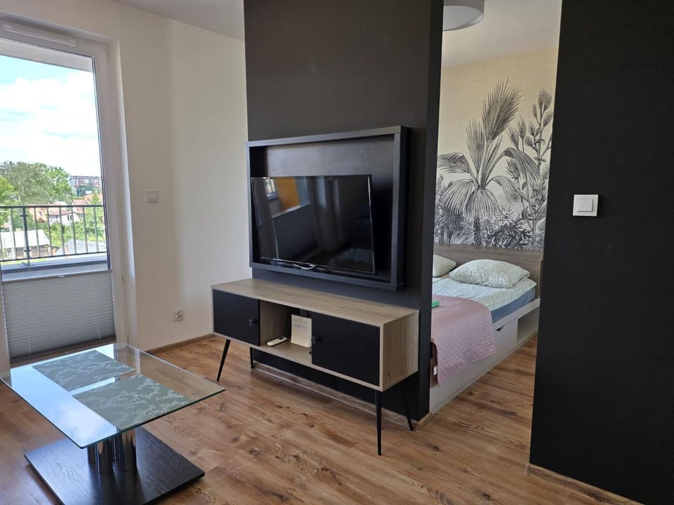 Bed, TV and multimedia, Photo of the whole room, Bedroom