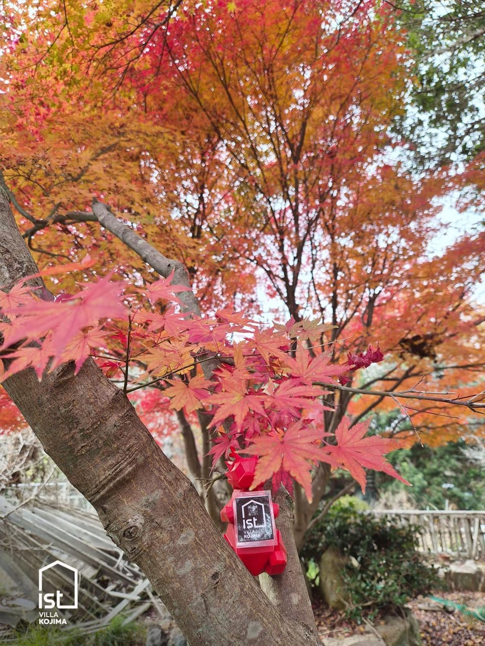 Autumn