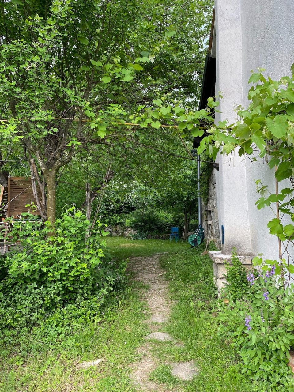 Day, Natural landscape, Garden