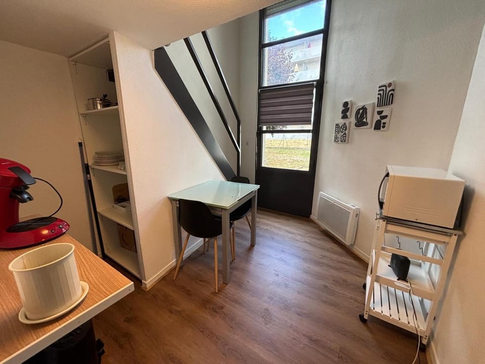 Le Cocon des Géants Apartment in Toulouse