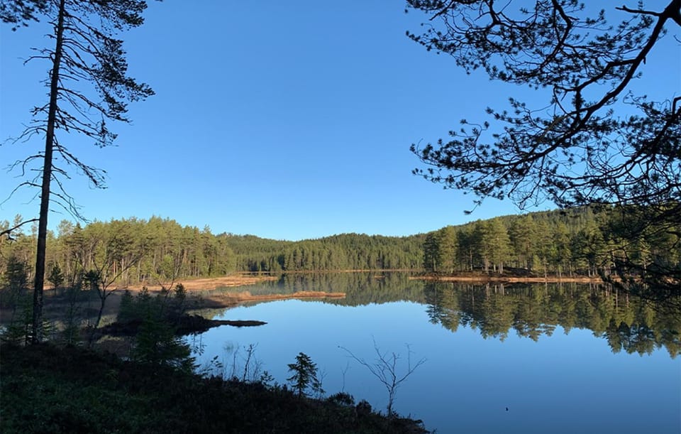Holmsjøhytta Campground/ 
RV Resort in Viken, Norway