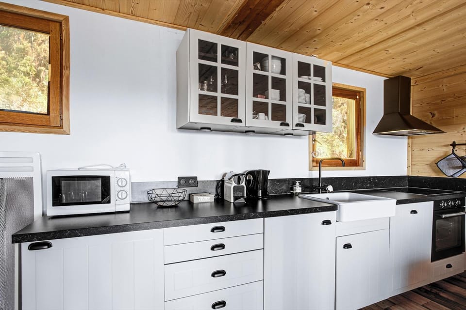 Kitchen or kitchenette, stove